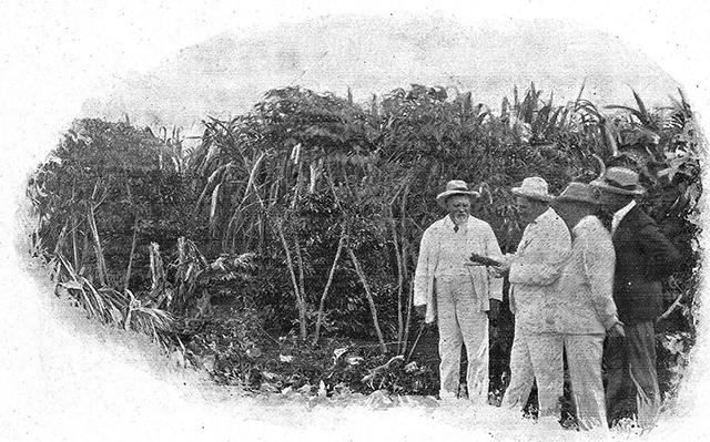Coronel Schmidt acompanha autoridades federais em uma de suas fazendas (clique para ampliar).